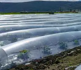 高分子安定剤の農業への応用