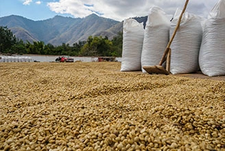 ポリマー酸化防止剤の制造プロセス