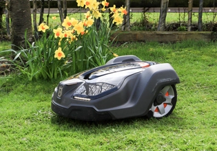 リン酸化防止剤