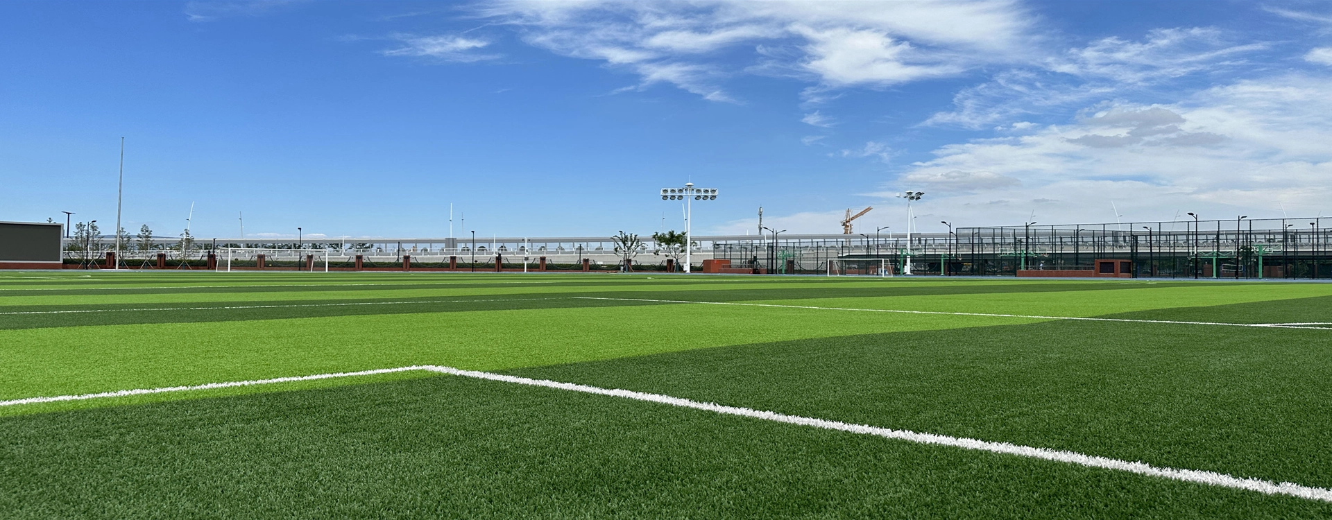 妨げられたアミン軽い安定剤