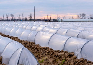 ニッケルQuencher