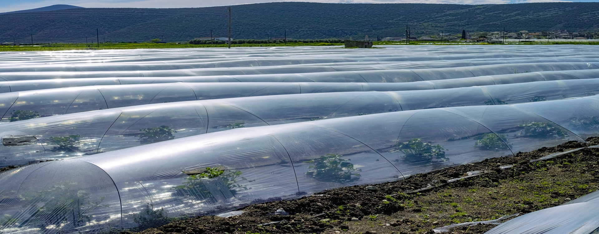 ニッケルQuencher